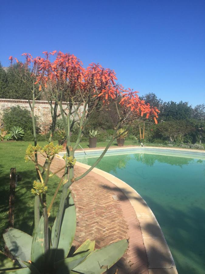 Watermill Studios Gordonʼs Bay Eksteriør bilde