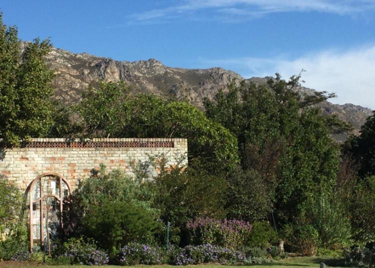 Watermill Studios Gordonʼs Bay Eksteriør bilde