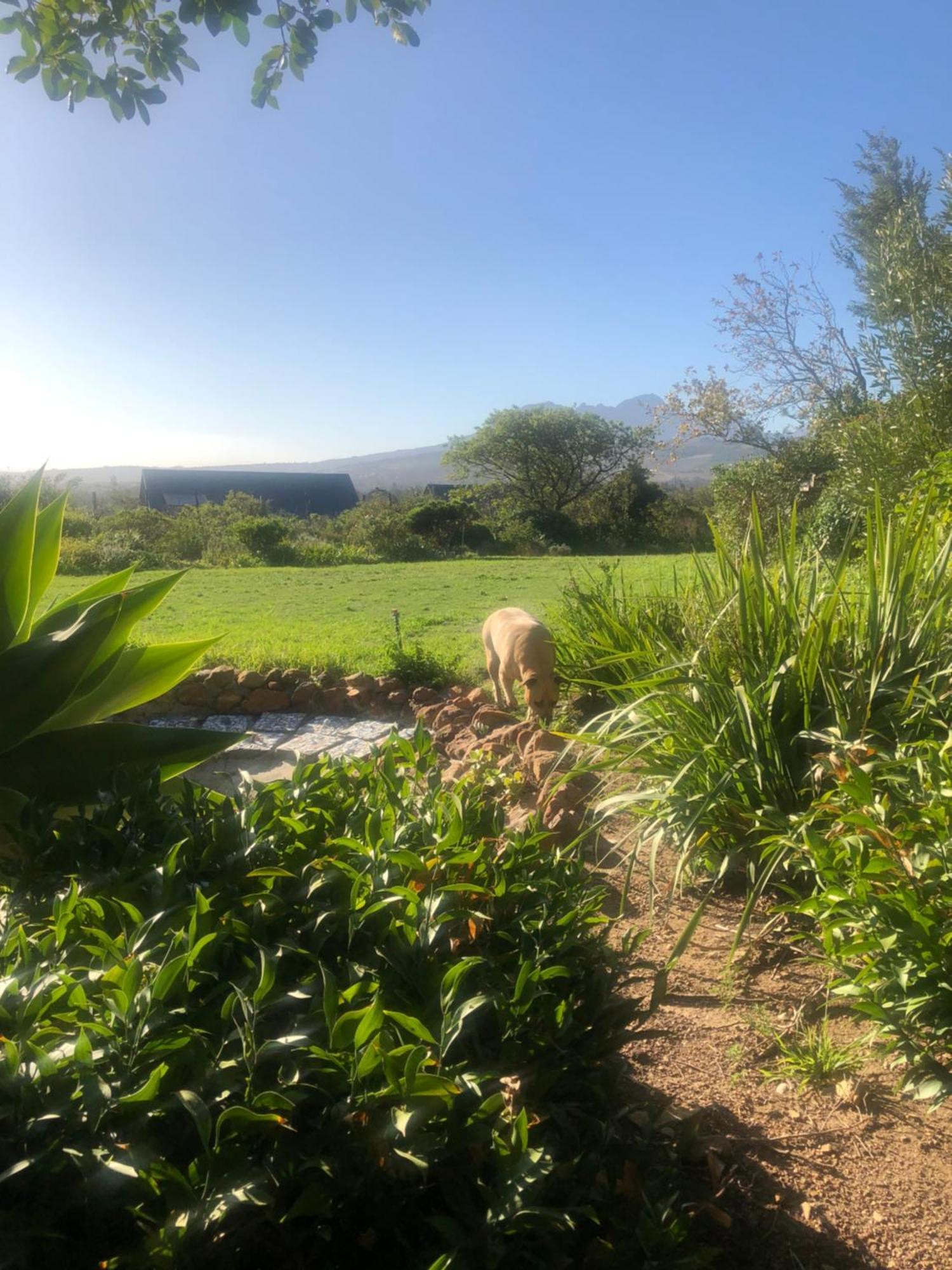 Watermill Studios Gordonʼs Bay Eksteriør bilde